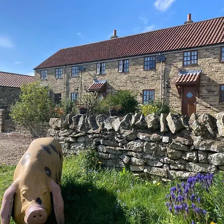 Holiday home Charming Farm Based With Hot Tub And Sauna Newton-on-Rawcliffe